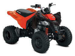 2027 Can-Am DS 250