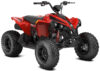 Stock image of 2027 Can-Am Renegade 110 EFI product