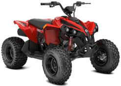 2027 Can-Am Renegade 110 EFI
