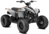 Stock image of 2027 Can-Am Renegade 110 EFI product