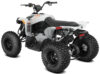 Stock image of 2027 Can-Am Renegade 110 EFI product