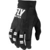 Stock image of Fly Racing Evolution DST Gloves product