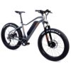 Stock image of PWR Dually All-Wheel Drive E-Bike product