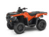 Stock image of 2024 Honda  Honda FourTrax Rancher 4x4 Automatic DCT IRS EPS product