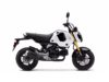 Stock image of 2024 Honda  Grom ABS product