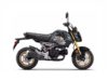 Stock image of 2024 Honda  Grom SP product