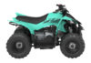 Stock image of 2024 Yamaha  YFZ50 Base product