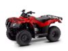 Stock image of 2024 Honda  Fourtrax Recon ES product