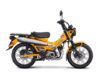 Stock image of 2024 Honda  Trail125 ABS product