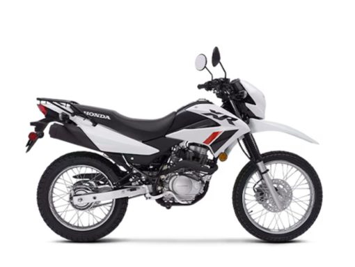 2024 Honda  XR150L Base