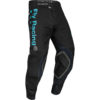 Stock image of Fly Racing S.E. Evolution DST Strobe Pants product