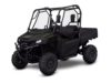 Stock image of 2025 Honda  Pioneer 700 Deluxe product