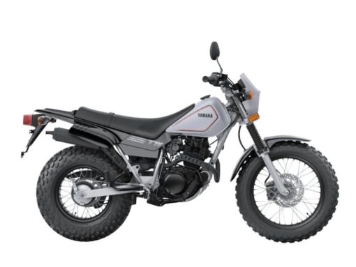 2025 Yamaha  TW200 Base