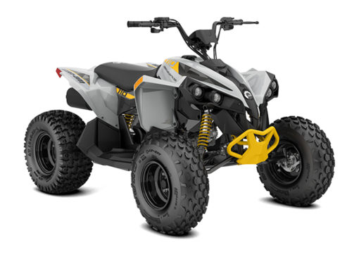 2025 Can-Am  Renegade 110 EFI Base