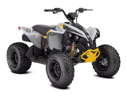 2025 Can-Am  Renegade 110 EFI Base