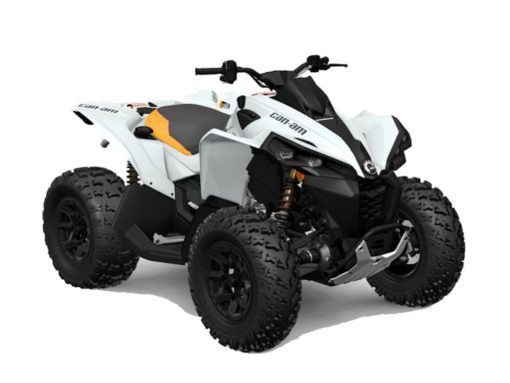 2025 Can-Am  Renegade 650