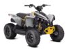 Stock image of 2025 Can-Am  Renegade 70 EFI Base product