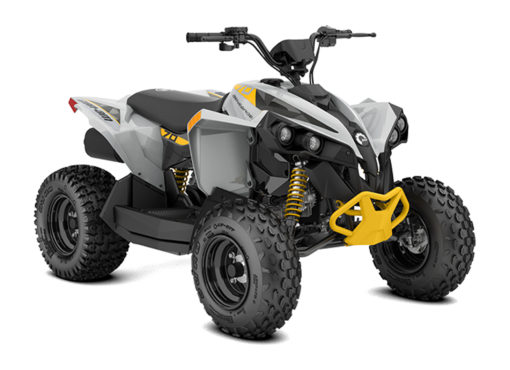 2025 Can-Am  Renegade 70 EFI Base