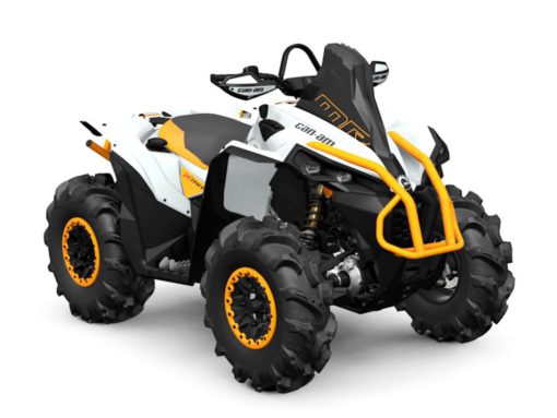 2025 Can-Am  Renegade X mr 650