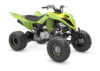 Stock image of 2025 Yamaha  Yamaha Raptor 700R SE product