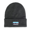 Stock image of Fasthouse Silhouette Beanie product