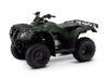 Stock image of 2025 Honda  FourTrax Recon ES product