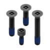 Stock image of Quad Lock Anti-Theft Screw Kit product