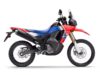 Stock image of 2025 Honda  CRF300L Rally Base product