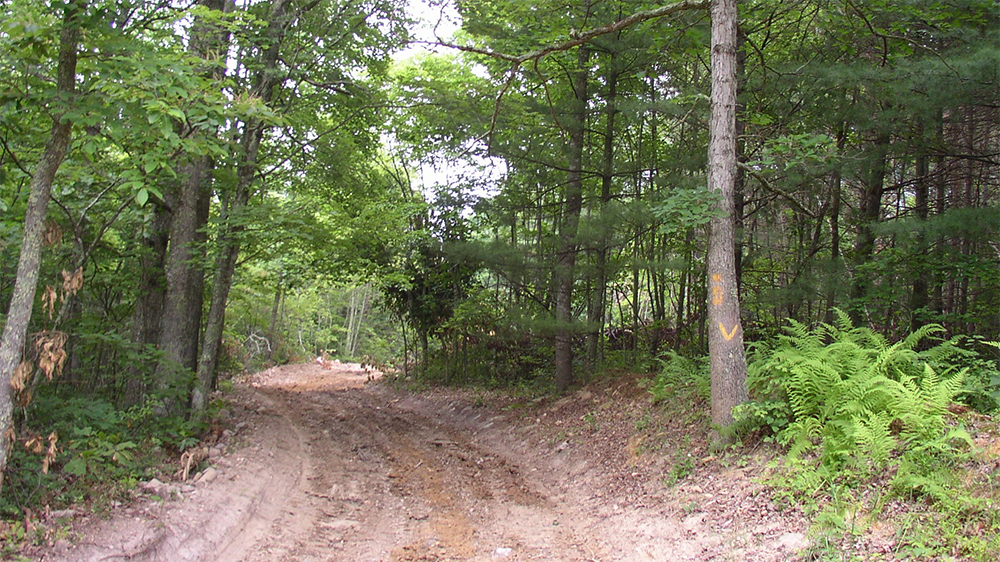 Peters Mill Run & Taskers Gap OHV System image from USDA site